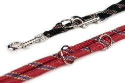 Hondenserie Winkel -Hondenserie Winkel 1200x800 203