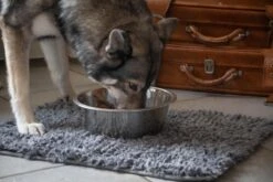 Royal Dry Absorberende Anti-knoeimat Voor Honden – Trekt Vuil Als Een Spons – Laat Geen Vocht Door – 61x45 Cm – Microfiber Chenille – Geschikt Voor Honden En Overige Huisdieren 12 Royal Dry Absorberende Anti-knoeimat Voor Honden – Trekt Vuil Als Een Spons – Laat Geen Vocht Door – 61x45 Cm – Microfiber Chenille – Geschikt Voor Honden En Overige Huisdieren -Hondenserie Winkel 1200x800 24