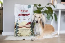 Kivo Petfood - PROEFZAKJE Hondenbrokken Verse Eend 300 Gr - Koudgeperst - Graanvrij -Hondenserie Winkel 1200x800 37