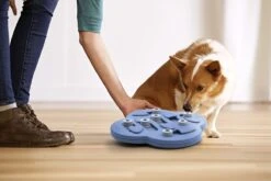 Nina Ottosson Dog Hide N Slide Composiet 33x33x5 Cm -Hondenserie Winkel 1200x800 49