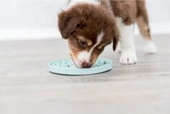 Trixie Junior Likplaat Mintgroen (15X15 CM) 19 Trixie Junior Likplaat Mintgroen (15X15 CM) -Hondenserie Winkel 1200x800 53