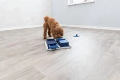 Trixie Dog Activity Poker Box 1 - 31X31 CM 31 Trixie Dog Activity Poker Box 1 - 31X31 CM -Hondenserie Winkel 1200x800 57