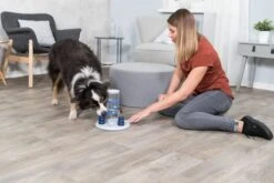 Trixie Dog Activity Gambling Tower - 27X25 CM -Hondenserie Winkel 1200x800 95