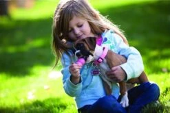 Kong Puppy - Hondenspeelgoed - Assorti - L 33 Kong Puppy - Hondenspeelgoed - Assorti - L -Hondenserie Winkel 1200x801 3