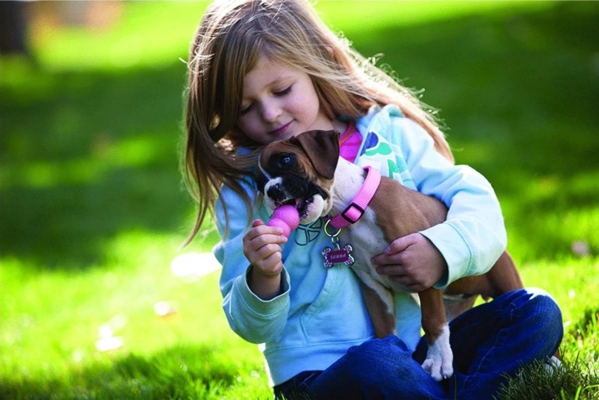 Kong Puppy - Hondenspeelgoed - Assorti - L 14 Kong Puppy - Hondenspeelgoed - Assorti - L - Afbeelding 12