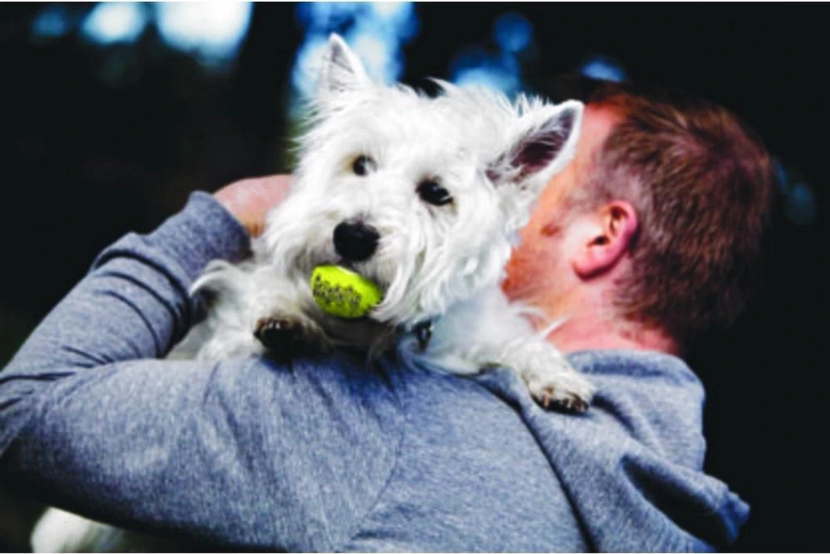 Kong Squeakair Ball - Hondenspeelgoed - 6 St 6 Kong Squeakair Ball - Hondenspeelgoed - 6 St - Afbeelding 4