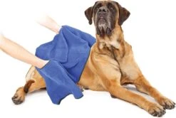 Duvo+ Hondenhanddoek 70 X 100 Cm 11 Duvo+ Hondenhanddoek 70 X 100 Cm -Hondenserie Winkel 1200x808 2