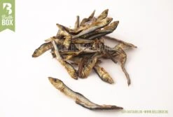 Bellobox - Beloningsbox - Hondensnacks - 100% Natuurlijk - Trainingssnacks - Cadeaubox 15 Bellobox - Beloningsbox - Hondensnacks - 100% Natuurlijk - Trainingssnacks - Cadeaubox -Hondenserie Winkel 1200x811 1