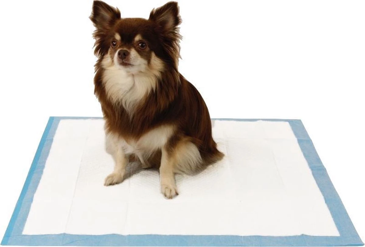 Easypets Puppy Training Pads - Zindelijkheidstraining - Hondentoilet - 58 X 58 Cm - 250 Stuks 4 Easypets Puppy Training Pads - Zindelijkheidstraining - Hondentoilet - 58 X 58 Cm - 250 Stuks - Afbeelding 2