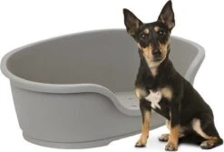 Flamingo - Hondenmand Domus - Grijs - M - 70 X 47 X 22 Cm -Hondenserie Winkel 1200x813 1