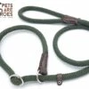 Sliplijn Met Stop - 1.2 Meter - Groen - Verstevigd - Roestvrij Staal - Verstelbaar - Hondenriem - Trainingslijn Voor Honden - Touw - Touwlijn - Lijn - Made In Portugal 2 Sliplijn Met Stop - 1.2 Meter - Groen - Verstevigd - Roestvrij Staal - Verstelbaar - Hondenriem - Trainingslijn Voor Honden - Touw - Touwlijn - Lijn - Made In Portugal -Hondenserie Winkel 1200x814