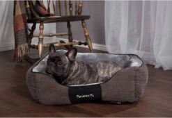 Hondenmand Zacht En Stevig, Anti-Slip En Wasbaar - Scruffs Chester Box Bed - In Grijs En Bruin In Maat S Tot XL - Kleur: Grijs, Maat: Medium 34 Hondenmand Zacht En Stevig, Anti-Slip En Wasbaar - Scruffs Chester Box Bed - In Grijs En Bruin In Maat S Tot XL - Kleur: Grijs, Maat: Medium -Hondenserie Winkel 1200x825 1