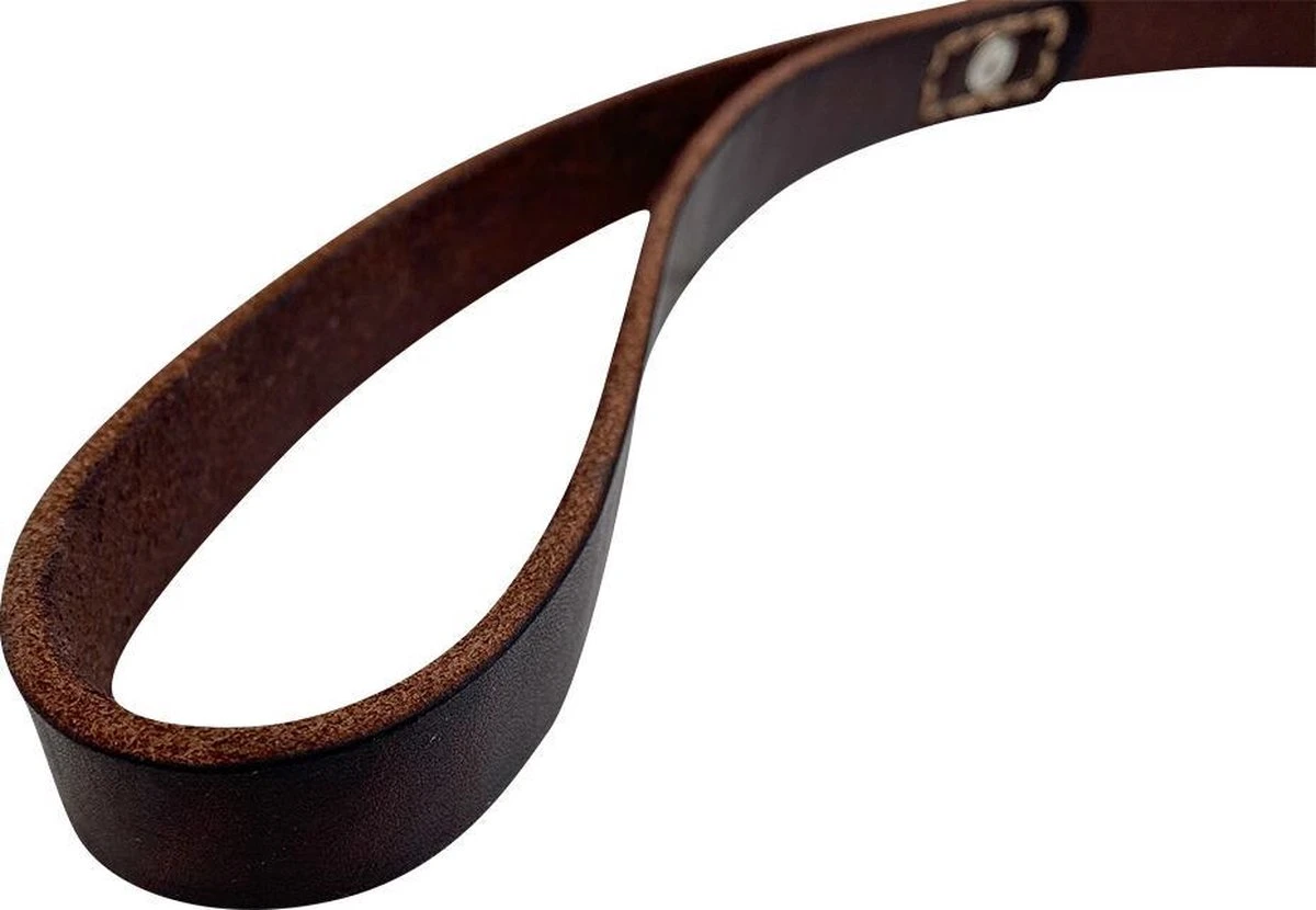 Hondenriem - 180 Cm – Bruine Riem - Leren Hondenriem Met Stiksels – 100% Volnerfleer - Hond 4 Hondenriem - 180 Cm – Bruine Riem - Leren Hondenriem Met Stiksels – 100% Volnerfleer - Hond - Afbeelding 2
