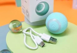 Merkloos Interactive Bal Voor Katten - Zelf Rollende Bal Voor Katten - Elektrisch Kattenspeeltje - Usb Oplaadbaar - Zelf Rollend Interactief Kattenspeeltje - Huisdieren Speeltjes - Cadeau Dierenliefhebbers 15 Merkloos Interactive Bal Voor Katten - Zelf Rollende Bal Voor Katten - Elektrisch Kattenspeeltje - Usb Oplaadbaar - Zelf Rollend Interactief Kattenspeeltje - Huisdieren Speeltjes - Cadeau Dierenliefhebbers -Hondenserie Winkel 1200x835 3