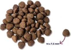 Renske - Super Premium Zalm Graanvrij - Hondenvoer - 12 Kg -Hondenserie Winkel 1200x845 1