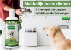 Easy Mondwater Voor Honden - 237 Ml - Tegen Stinkende Adem - Tandplak - Tandsteen - Tandvleesproblemen -Hondenserie Winkel 1200x852 7