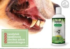 Easy Mondwater Voor Honden - 237 Ml - Tegen Stinkende Adem - Tandplak - Tandsteen - Tandvleesproblemen -Hondenserie Winkel 1200x852 8