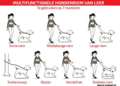 Multifunctionele Hondenriem - 220cm - Bruin - Leren Hondenriem - 100% Volnerfleer - Hondenriem Leer - Leiband Hond -Hondenserie Winkel 1200x853 2