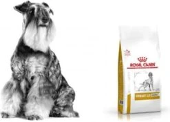Royal Canin Veterinary Diet Urinary S/O Ageing 7+ Hond 8kg 7 Royal Canin Veterinary Diet Urinary S/O Ageing 7+ Hond 8kg -Hondenserie Winkel 1200x864 3