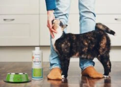 OxyFresh Pet Mondwater Hond En Kat. Helpt Tegen Tandsteen, Plak En Vieze Ademgeurtjes 9 OxyFresh Pet Mondwater Hond En Kat. Helpt Tegen Tandsteen, Plak En Vieze Ademgeurtjes -Hondenserie Winkel 1200x864 9