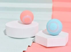 Merkloos Speelbal - Slimme Interactieve Zelfrollende Bal - Kat En Hond Speelgoed - Kattenspeelgoed - BLAUW -Hondenserie Winkel 1200x868 2