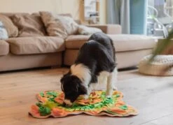 SNUFFIES® Snuffelmat Belle 60x50cm – Snuffelmat – Snuffelmatten - Honden Speelgoed - Honden Speelgoed Intelligentie - Snuffelmat Hond - Snuffelmatten – Hersenwerk – Honden Speeltjes – Puppy - Puppy Speelgoed - Honden Denkspelletjes 18 SNUFFIES® Snuffelmat Belle 60x50cm – Snuffelmat – Snuffelmatten - Honden Speelgoed - Honden Speelgoed Intelligentie - Snuffelmat Hond - Snuffelmatten – Hersenwerk – Honden Speeltjes – Puppy - Puppy Speelgoed - Honden Denkspelletjes -Hondenserie Winkel 1200x872 1