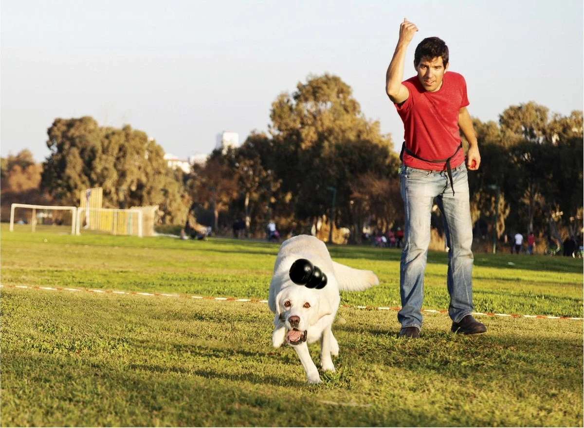 Kong Extreme 22 Kong Extreme - Afbeelding 20