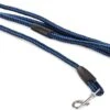 Merkloos Slipriem - Nylon - Riem Voor Hond - Blauw 2 Merkloos Slipriem - Nylon - Riem Voor Hond - Blauw -Hondenserie Winkel 1200x884 1