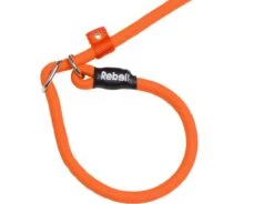 Rebel Petz - Honden Trainingslijn Met Halsband - Taupe, Zwart, Groen & Oranje - Maat Small Of Large - Kleur: Oranje, Maat: Large 39 Rebel Petz - Honden Trainingslijn Met Halsband - Taupe, Zwart, Groen & Oranje - Maat Small Of Large - Kleur: Oranje, Maat: Large -Hondenserie Winkel 1200x893 3
