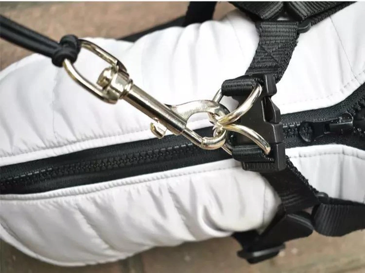 Fiets Hondenriem - Fietsbeugel Voor De Hond -Honden Fietsbeugel - Hondenlijn-Lijn Dog- Afstandshouder Hond 12 Fiets Hondenriem - Fietsbeugel Voor De Hond -Honden Fietsbeugel - Hondenlijn-Lijn Dog- Afstandshouder Hond - Afbeelding 10