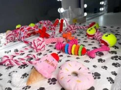 Honden Speelgoed - Puppy Speelgoed - 11 Stuks - Roze - 1 Speeltje Gratis - Honden Knuffel - Trektouw - Honden Speeltjes 12 Honden Speelgoed - Puppy Speelgoed - 11 Stuks - Roze - 1 Speeltje Gratis - Honden Knuffel - Trektouw - Honden Speeltjes -Hondenserie Winkel 1200x898 1