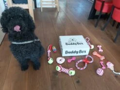 Honden Speelgoed - Puppy Speelgoed - 11 Stuks - Roze - 1 Speeltje Gratis - Honden Knuffel - Trektouw - Honden Speeltjes 11 Honden Speelgoed - Puppy Speelgoed - 11 Stuks - Roze - 1 Speeltje Gratis - Honden Knuffel - Trektouw - Honden Speeltjes -Hondenserie Winkel 1200x899 5