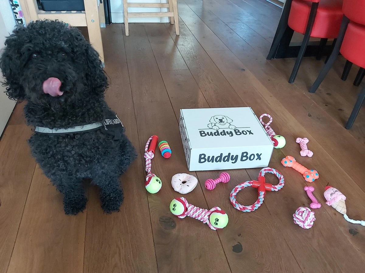 Honden Speelgoed - Puppy Speelgoed - 11 Stuks - Roze - 1 Speeltje Gratis - Honden Knuffel - Trektouw - Honden Speeltjes 6 Honden Speelgoed - Puppy Speelgoed - 11 Stuks - Roze - 1 Speeltje Gratis - Honden Knuffel - Trektouw - Honden Speeltjes - Afbeelding 4