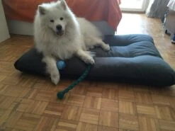 Hondenkussen XXXL -Donkergrijs - 85 X 120 X 14 16 Hondenkussen XXXL -Donkergrijs - 85 X 120 X 14 -Hondenserie Winkel 1200x900 1