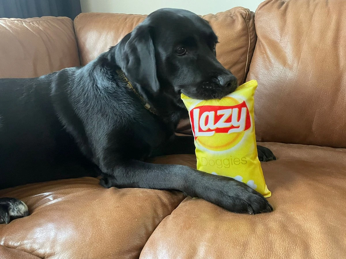 Merkloos Lazy Doggies Krakend Hondenspeelgoed 4 Merkloos Lazy Doggies Krakend Hondenspeelgoed - Afbeelding 2