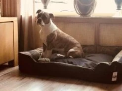 Hondenmand Cordura XXL – Zwart + Grijs - 100 X 75 X 23 Cm -Hondenserie Winkel 1200x900 2