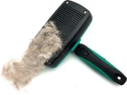 ElegaPet Hondenborstel Groen - Hondenhaar Verwijderen - Kat En Hondenkam - Slickerborstel Hond En Kat - Groomer - Ondervacht Kam Hond - Borstel Hond - Hondenborstel Langharig En Kortharig - Slickerborstel - Anti Klit/Knopen/Huidschilfers -Hondenserie Winkel 1200x902