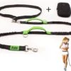 Filo Elastische Hondenriem Middel - Hardlopen En Wandelen - Hardloopriem Hond Handsfree Met Heuptasje - Looplijn Met Heupriem - Canicross Gordel Honden - Riemen - Heupgordel - Leiband 1 Filo Elastische Hondenriem Middel - Hardlopen En Wandelen - Hardloopriem Hond Handsfree Met Heuptasje - Looplijn Met Heupriem - Canicross Gordel Honden - Riemen - Heupgordel - Leiband -Hondenserie Winkel 1200x908