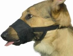 Beeztees Comfort Muilband - Hond - M - 15-20 Cm 10 Beeztees Comfort Muilband - Hond - M - 15-20 Cm -Hondenserie Winkel 1200x918 2