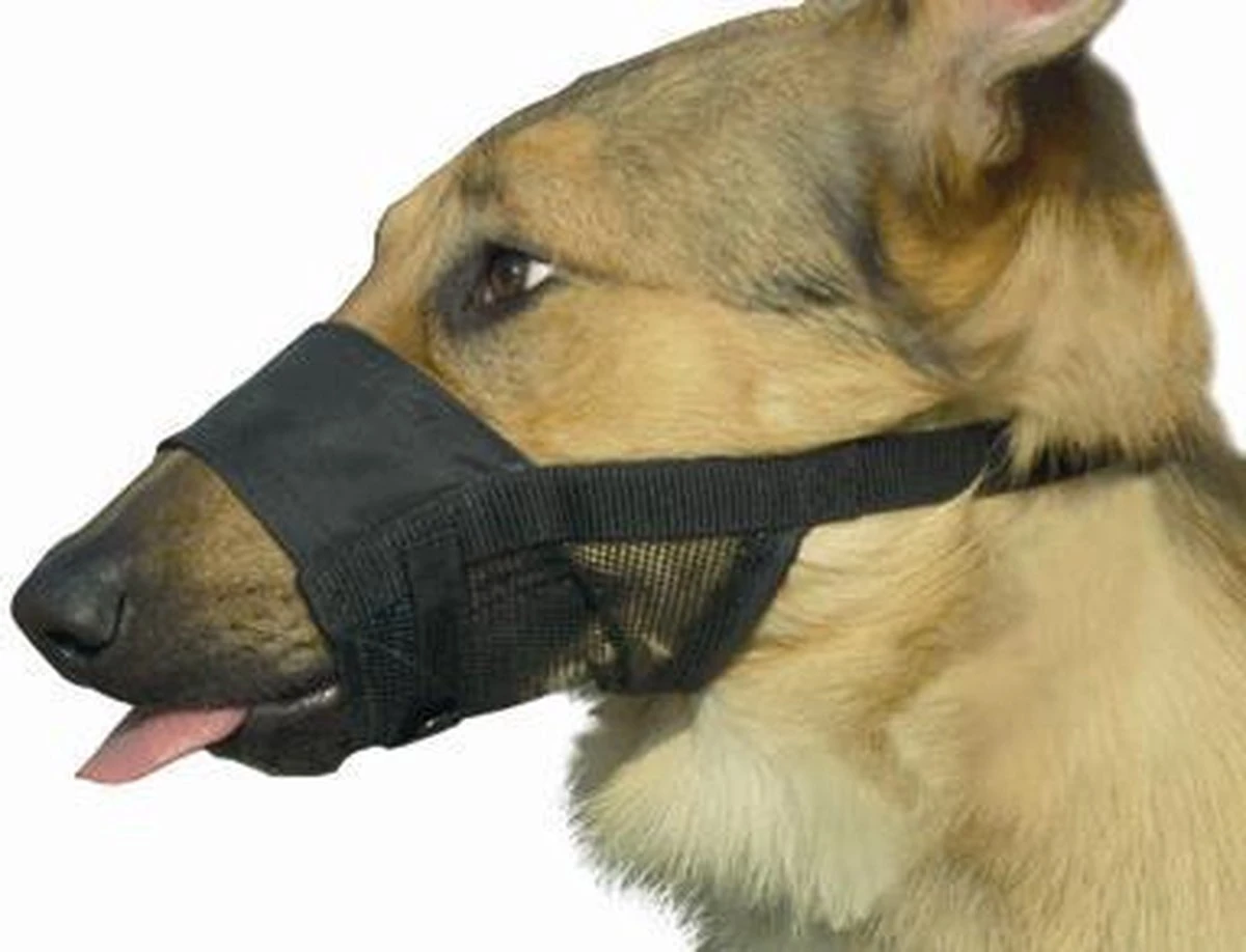 Beeztees Comfort Muilband - Hond - M - 15-20 Cm 6 Beeztees Comfort Muilband - Hond - M - 15-20 Cm - Afbeelding 4