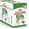 Royal Canin Shn Mini Adult Pouch - Hondenvoer - 12 X 85 G 2 Royal Canin Shn Mini Adult Pouch - Hondenvoer - 12 X 85 G -Hondenserie Winkel 1200x932 1