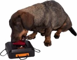 Trixie Dogtoy Dog Activity Strategy Game Gamble Box - Piepend Speelgoed - 15cm X 15cm X 9cm - Zwart/rood/oranje -Hondenserie Winkel 1200x935 2