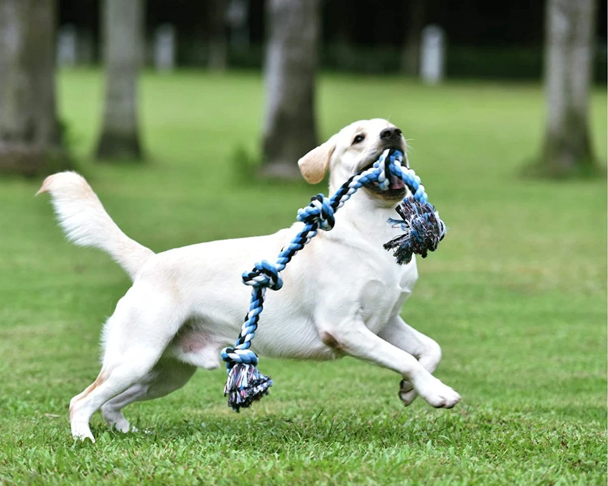 Viervoetjes - BigBoi - XXXL - Honden Touw - 100cm - 730 Gram - Honden Speelgoed - HondenSpeeltjes - Blauw/Wit/Zwart 5 Viervoetjes - BigBoi - XXXL - Honden Touw - 100cm - 730 Gram - Honden Speelgoed - HondenSpeeltjes - Blauw/Wit/Zwart - Afbeelding 3