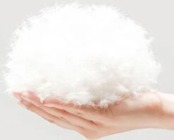 BEESSIES® Donut Hondenmand/hondenkussen 120 Cm - Wasbare Hoes - Zwart - Hond Kussen Mand -Hondenserie Winkel 1200x963