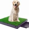 Merkloos Maoo Premium Hondentoilet - Geurbestendig & Hondvriendelijk Kunstgras - Uitneembare Opvangbak - Indoor En Outdoor - 63 X 50 Cm 2 Merkloos Maoo Premium Hondentoilet - Geurbestendig & Hondvriendelijk Kunstgras - Uitneembare Opvangbak - Indoor En Outdoor - 63 X 50 Cm -Hondenserie Winkel 1200x963 3