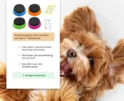 Praatknop Hond – Set Van 4 - Honden Speelgoed – Honden Training – Dogbuttons – Huisdier – Puppy Training - Hondenspeelgoed Intelligentie - Hond Opvoeden -Hondenserie Winkel 1200x972 1