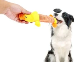 Hiden | Hondenspeelgoed - Pluche - Hondenspeeltjes - Huisdieren - Hondenknuffel | Eend -Hondenserie Winkel 1200x992 2