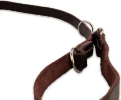 Multifunctionele Hondenriem - 220cm - Bruin - Leren Hondenriem - 100% Volnerfleer - Hondenriem Leer - Leiband Hond -Hondenserie Winkel 1200x993 1