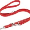 Happilax Dog Leash 2m Adjustable - Red / Reflective - 3-Step Adjustable Leash - Double Leash, Tug Leash - Geschikt Als Hondenriem Voor Grote Honden Of Als Sleepriem Voor Kleine Honden. 2 Happilax Dog Leash 2m Adjustable - Red / Reflective - 3-Step Adjustable Leash - Double Leash, Tug Leash - Geschikt Als Hondenriem Voor Grote Honden Of Als Sleepriem Voor Kleine Honden. -Hondenserie Winkel 1200x995 8