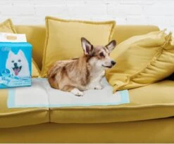 Nobleza 48LXB - Puppy Training Pads - 60 X 90 Cm - Zindelijkheidstraining - 100 Stuks -Hondenserie Winkel 1200x997 3